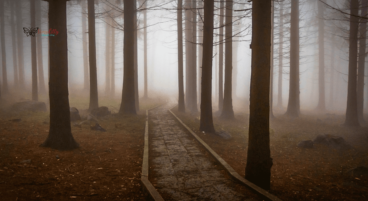 The Best Spookiest Halloween Destinations in Europe to Celebrate 2 The Best Spookiest Halloween Destinations in Europe to Celebrate